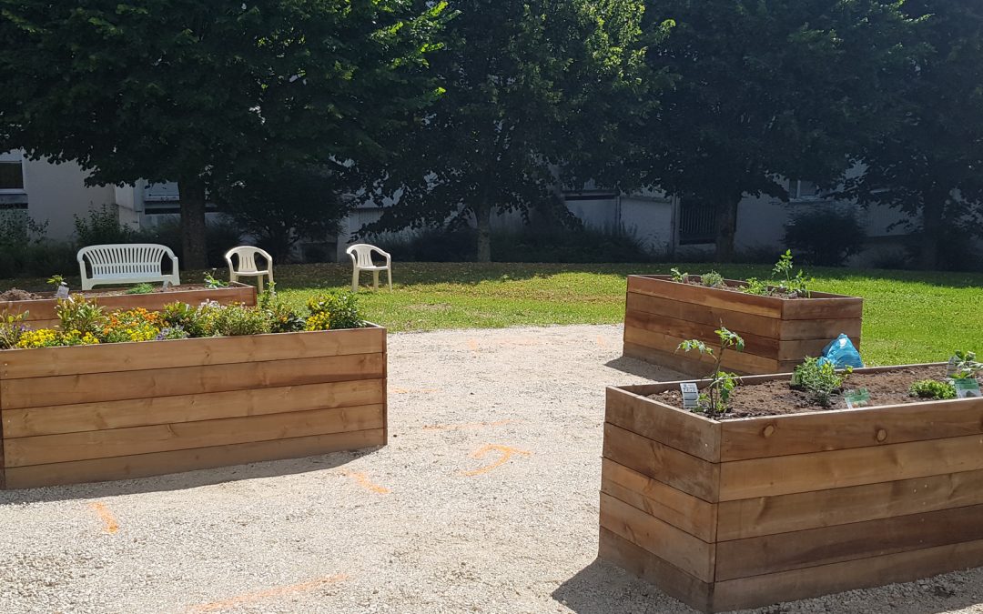 Un jardin partagé à Montceau-les-Mines