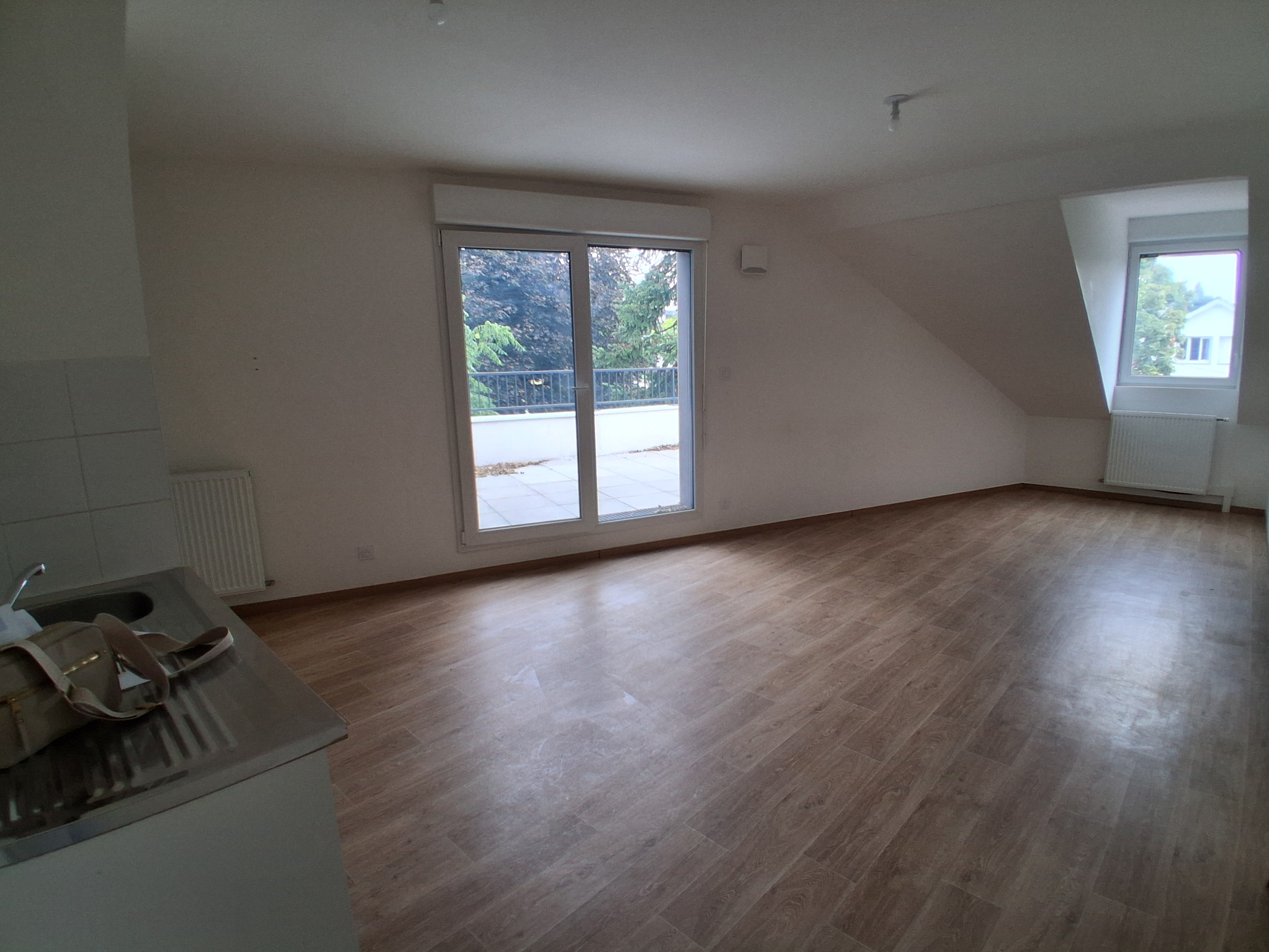 Appartement T3-Terrasse Dijon